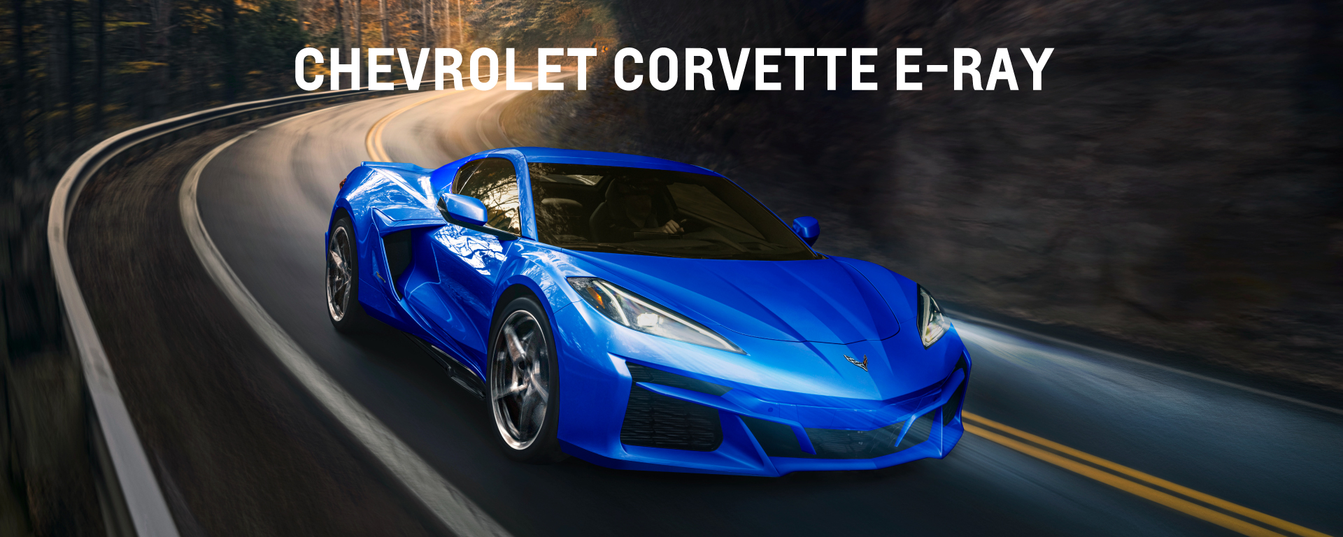 CHEVROLET CORVETTE E-RAY